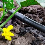 Tubería agrícola PE con gotero turbulento - Imagen 2